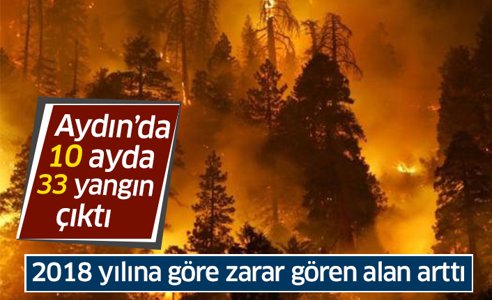 Aydın'da yılın ilk 10 ayında 33 yangın çıktı