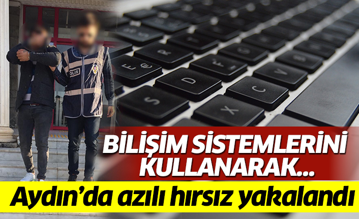Aydın'da 'bilişim' hırsızı yakalandı