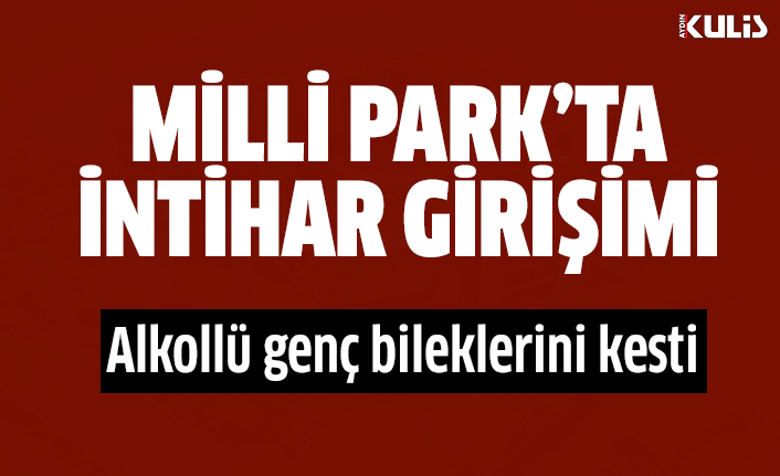 Milli Park'ta intihar girişimi
