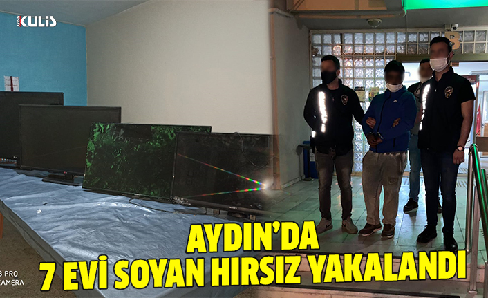 Aydın'da 7 evi soyan hırsız yakalandı