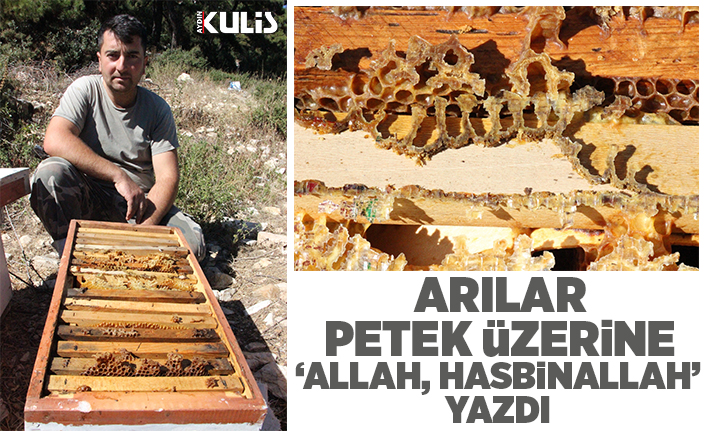 Arılar petek üzerine "'Allah, Hasbinallah' yazdı haberi - Aydın Kulis Haber
