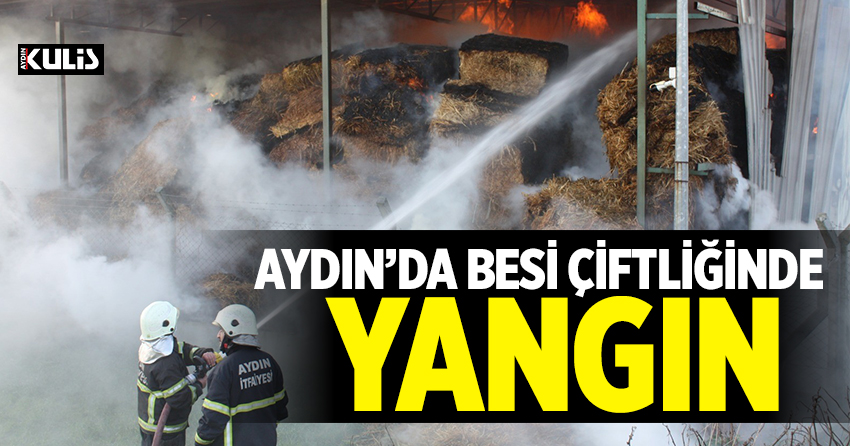 Aydın'da besi çiftliğinde yangın