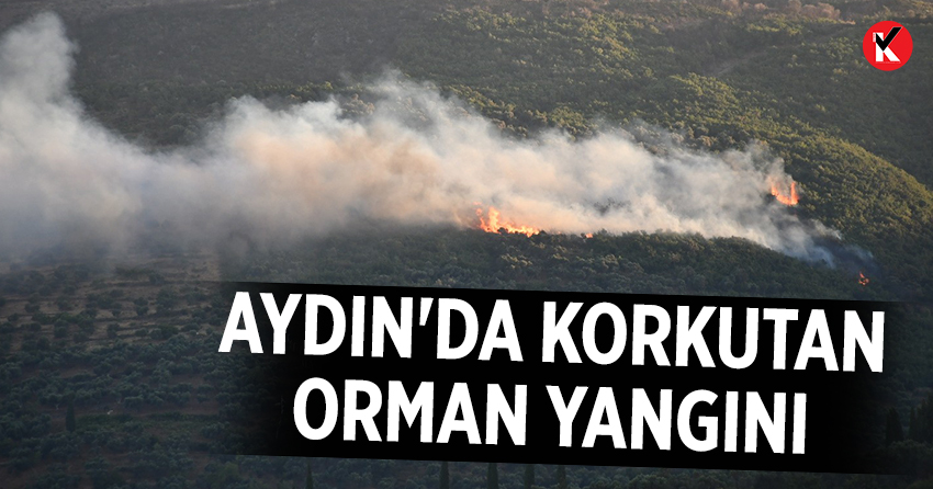 Aydın'da korkutan orman yangını