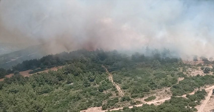 İzmir Karaburun'da makilik alanda çıkan yangına müdahale ediliyor
