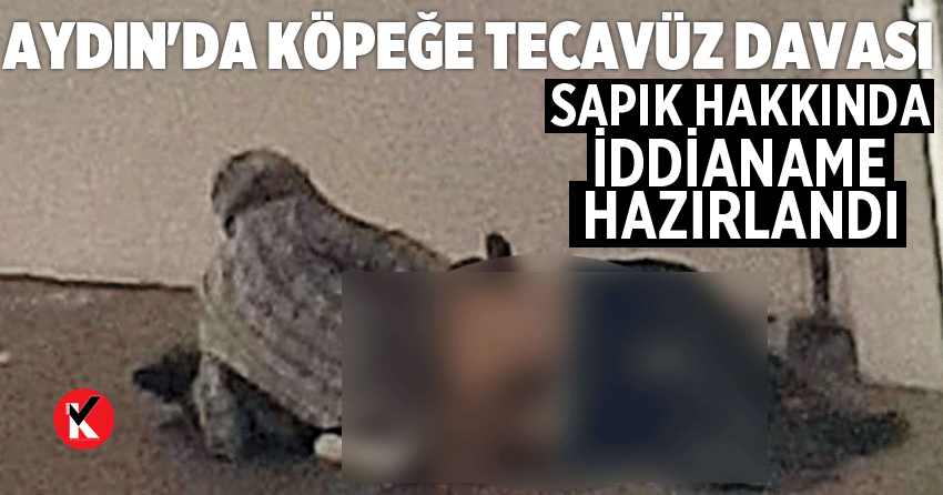 Aydın'da köpeğe tecavüz eden kişinin iddianamesi hazırlandı