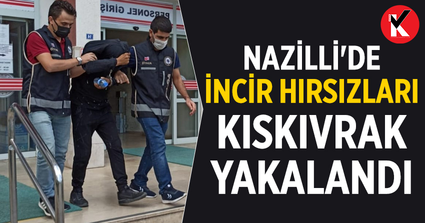 Nazilli'de incir hırsızları kıskıvrak yakalandı