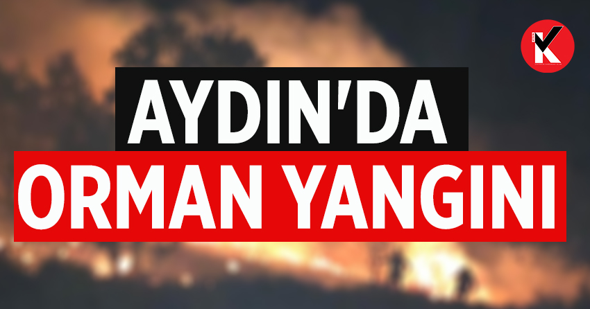 Son  Dakika: Aydın'da orman yangını