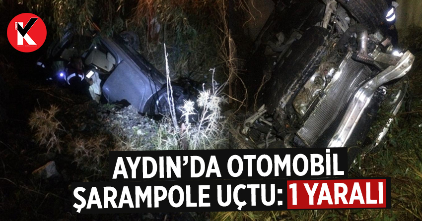 Aydın’da otomobil şarampole uçtu: 1 yaralı